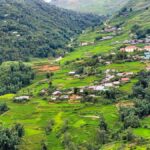 Sapa Trekking Explore Terraced Rice Fields, Ethnic Culture - What This Tour Offers Beyond the Scenery