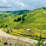 Sapa: Trekking to Y Linh Ho, Lao Chai & Ta Van Villages - Discovering Sapa’s Village Life and Scenic Splendors