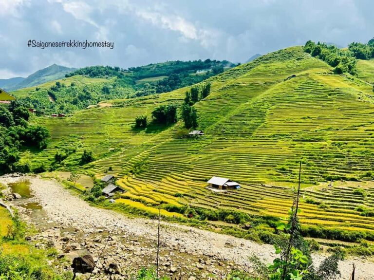 Sapa: Trekking to Y Linh Ho, Lao Chai & Ta Van Villages - Discovering Sapa’s Village Life and Scenic Splendors