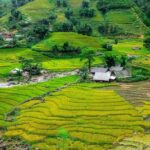 Sapa Trekking Tours -overnight At 4* Luxury Hotel With Swimming Pool - The Value of the Experience