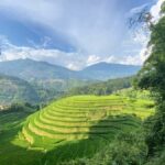 Sapa: Y Linh Ho, Lao Chai, and Ta Van Trekking Tour - Value and Overall Impression