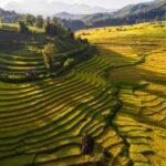 Sapa: Y Linh Ho, Muong Hoa Valley Trek & Village Experience - The Practicalities: What to Expect and Tips for a Great Day