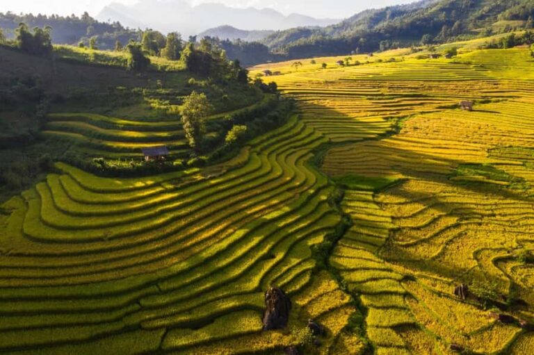Sapa: Y Linh Ho, Muong Hoa Valley Trek & Village Experience - The Practicalities: What to Expect and Tips for a Great Day