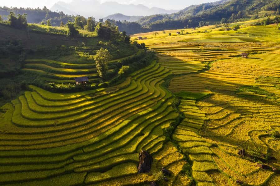 Sapa: Y Linh Ho, Muong Hoa Valley Trek & Village Experience - The Practicalities: What to Expect and Tips for a Great Day