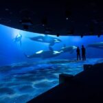 Sapporo AOAO Aquarium Park Hokkaido - What You Can Expect from the Itinerary