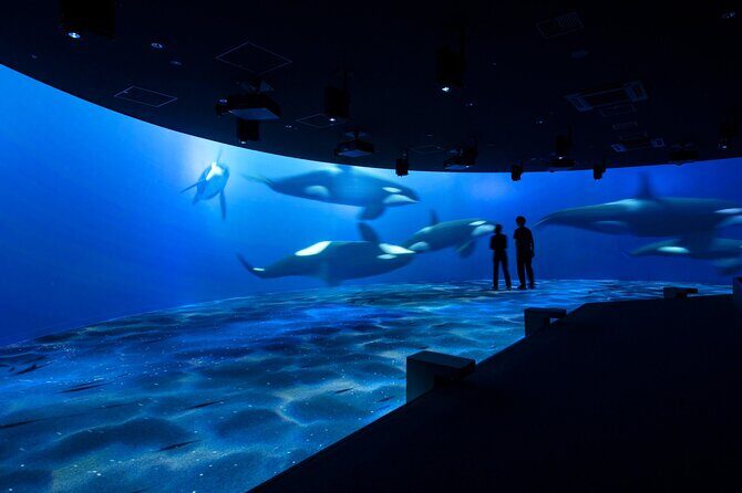 Sapporo AOAO Aquarium Park Hokkaido - What You Can Expect from the Itinerary