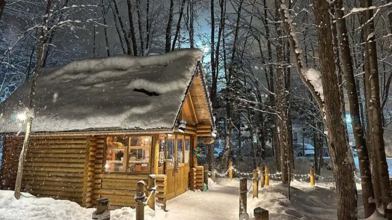 Sapporo: Asahikawa,Biei and Furano day Tour in small group - How the Experience Feels on the Ground