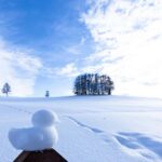 Sapporo: Biei Best 5 Must-Visit Day Tour (Late Departure) - Practical Details and Tips