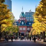 Sapporo Highlights: Art, Nature & Architecture Private Tour - The View from Mount Moiwa