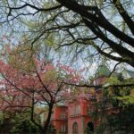 Sapporo History and Gourmet Walking Tour - What You Can Expect from This Tour