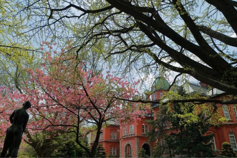 Sapporo History and Gourmet Walking Tour - What You Can Expect from This Tour