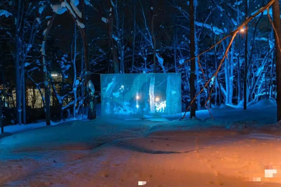 Sapporo: Jozankei Snow Lantern Path Trip-Private group - Is This Tour Right for You?