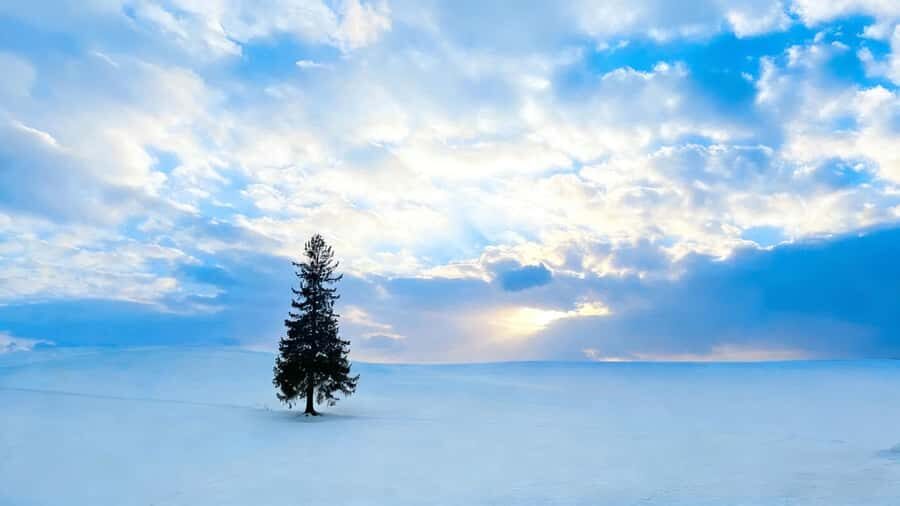 Sapporo Limited: Hokkaido Winter Blue Pond Illumination Tour - Exploring the Hokkaido Winter Illumination Tour