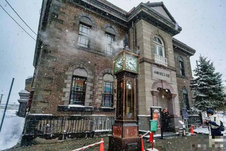 Sapporo: Otaru Day Trip-Mt. Tengu & Aquarium in small group - The Practicalities: Transportation, Timing, and Value