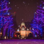 Sapporo Private Walking Christmas Market and Illumination Tour - Sapporo Kita 3-jo Plaza — The Illumination Wonderland