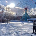 Sapporo Teine All-Inclusive Ski & Snowboard in Private Class - Who Should Consider This?