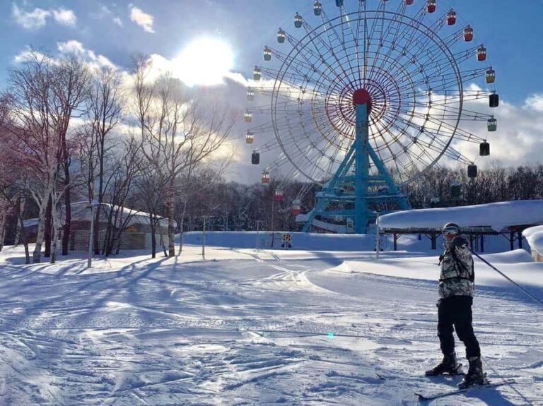 Sapporo Teine All-Inclusive Ski & Snowboard in Private Class - Who Should Consider This?