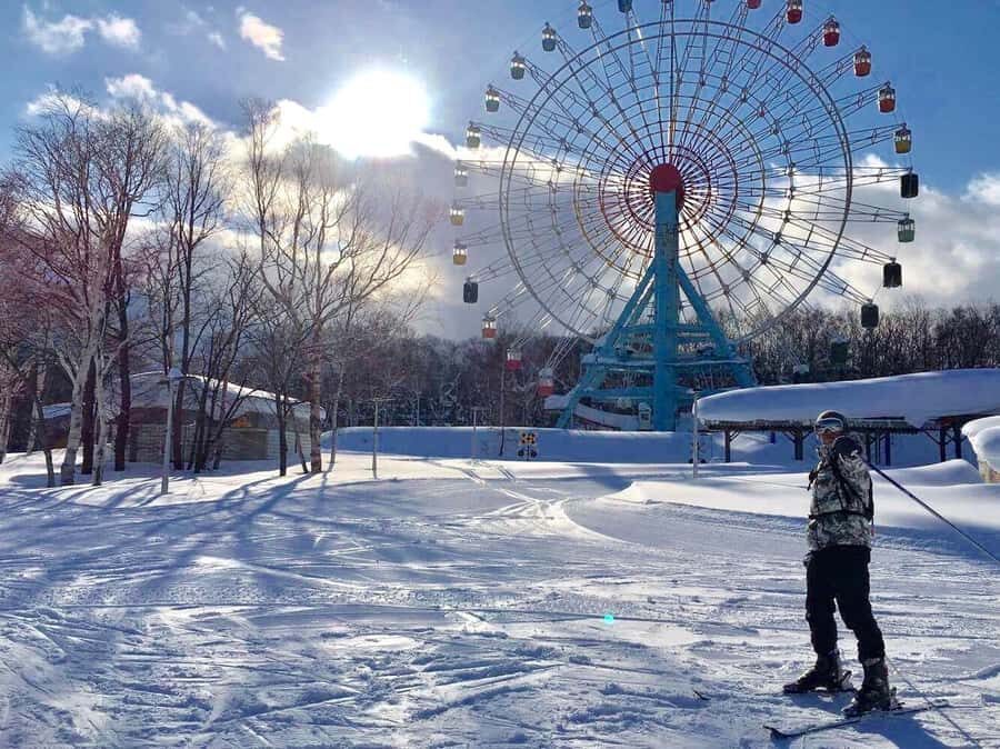 Sapporo Teine All-Inclusive Ski & Snowboard in Private Class - Who Should Consider This?