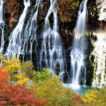 Sapporo to Blue Pond & Shirahige Falls Furano Private Tour - What’s Included and What’s Not