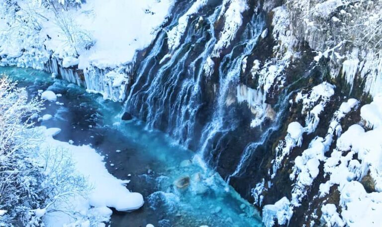 Sapporo:Asahiyama Zoo,Shirahige Waterfall&Blue Pond Day Trip - What to Expect at Each Stop