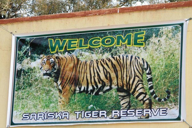 Sariska Tiger Reserve Safari Tickets (Skip The Line) - Transportation and Timing