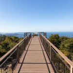 Sasebo: Traditions, Tastes Tour with Selective Shop Hopping - Exploring Yonkacho Shopping Arcade