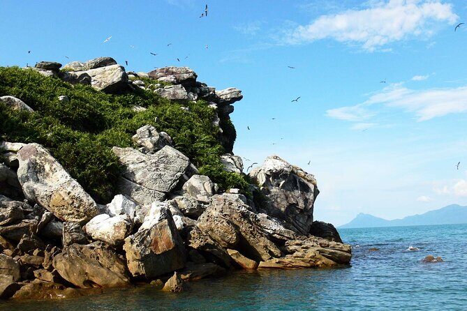 Satang Island Snorkeling & Sea Bird Island Watching from Kuching - Practical Tips for Making the Most of Your Day