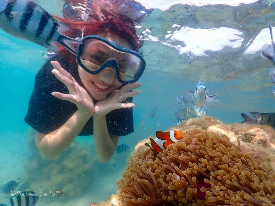 Sattahip: Private Half Day Snorkeling tour - What to Expect from the Experience