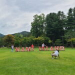 Scenic Escape: Nami Island, Garden of Morning Calm, and Rail Bike - What’s Included and What’s Not