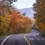 Scenic Jiri Mountain Autumn Foliage One Day Tour from Busan - The Itinerary in Detail