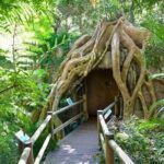 Scenic Rim Explorer - Why This Tour Offers Great Value