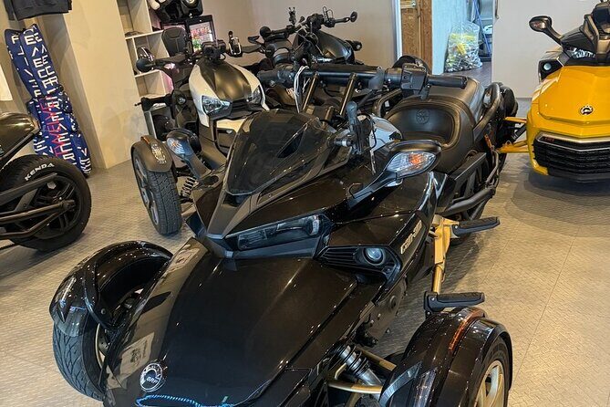 Scenic Tropical Motorcycle Tour - Practical Information & Tips