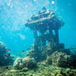 Scuba Diving experiences - An In-Depth Look at the Bali Scuba Experience