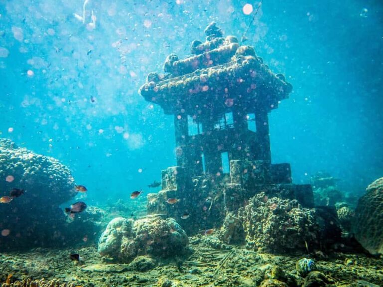 Scuba Diving experiences - An In-Depth Look at the Bali Scuba Experience