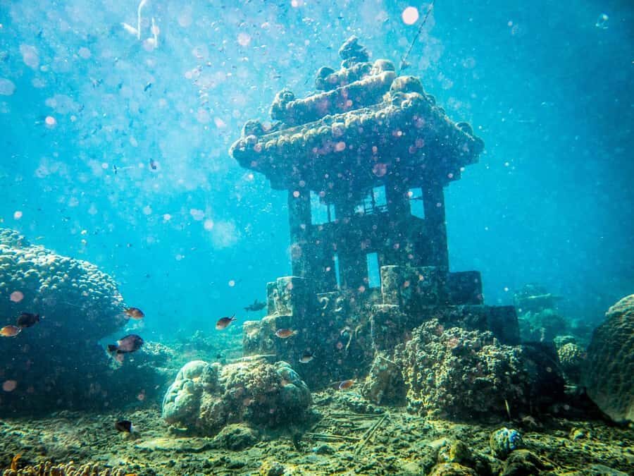 Scuba Diving experiences - An In-Depth Look at the Bali Scuba Experience