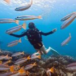 Scuba Diving for Beginners from Phuket Racha Yai with Snorkeling - The Value for Money