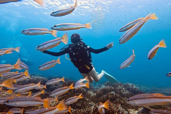 Scuba Diving for Beginners from Phuket Racha Yai with Snorkeling - The Value for Money