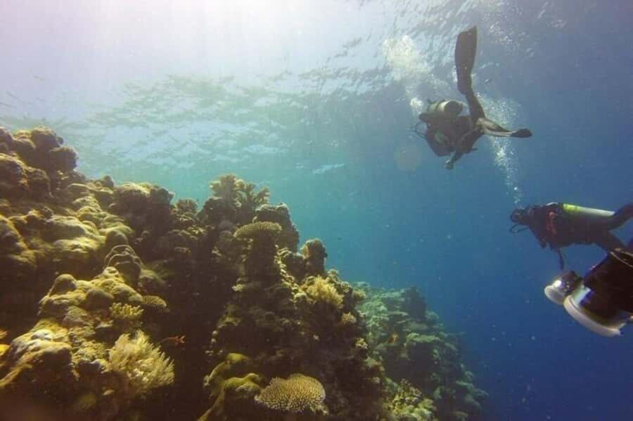 Scuba Diving in Pasikudah - Why Pasikudah’s Underwater World Is Worth Exploring