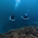 Scuba Diving in Phu Quoc for Non Certificated Divers (2 Dives) - What Makes This Tour Stand Out?