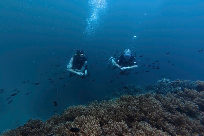 Scuba Diving in Phu Quoc for Non Certificated Divers (2 Dives) - What Makes This Tour Stand Out?