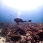 Scuba Diving in Phuket  4-Day 3-Night Experience - What Makes This Tour Stand Out?