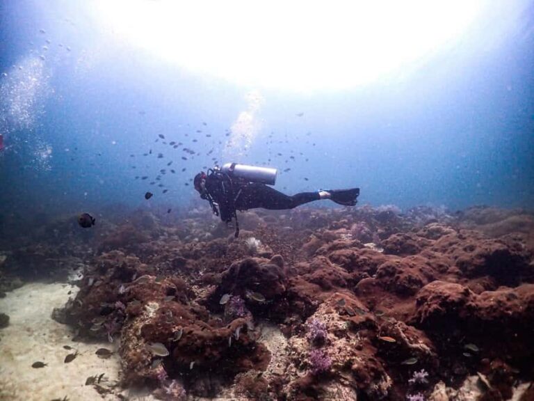 Scuba Diving in Phuket  4-Day 3-Night Experience - What Makes This Tour Stand Out?