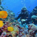 Scuba Diving Refresher(3 dives) - What Makes It a Good Value?