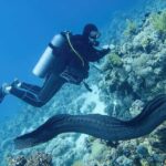 Scuba Diving Refresher(3 dives) - Who Will Love This Tour?