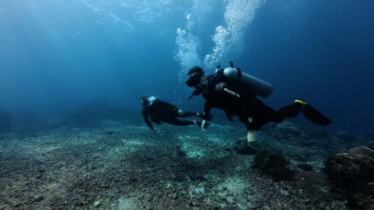 Scuba diving/snorkeling in Nusa Penida with manta rays - Detailed Breakdown of the Experience