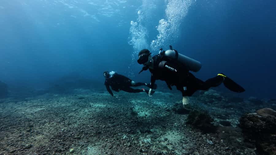 Scuba diving/snorkeling in Nusa Penida with manta rays - Detailed Breakdown of the Experience