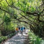 Sea Coral Luxury Escape Lan Ha Bay Overnight Cruise - The Itinerary Breakdown: What to Expect