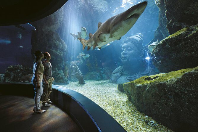 SEA LIFE Bangkok Ocean World and Madam Taussauds Entry Ticket - Final Thoughts: Is This Tour Right for You?