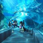 Sea life Bangkok Ocean World Ticket - Practical Tips for Your Visit