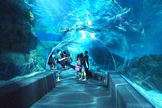 Sea life Bangkok Ocean World Ticket - Practical Tips for Your Visit